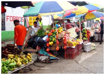 VENDEDORES DE PERECEDEROS 1