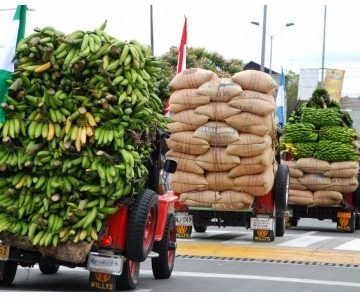 YIPAO PRODUCTOS AGRICOLAS 360x297