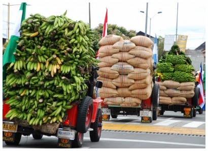 YIPAO PRODUCTOS AGRICOLAS