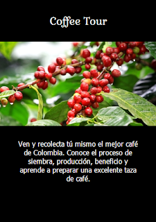 Home coffee tour