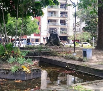 DSC 0126 360x320