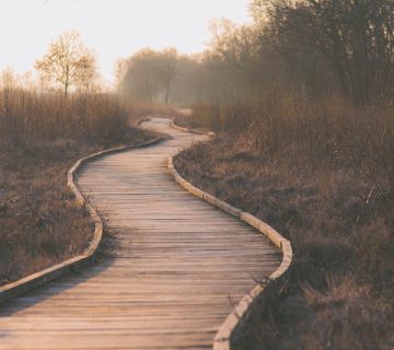 Path g6fb6d76c2 1920 360x320