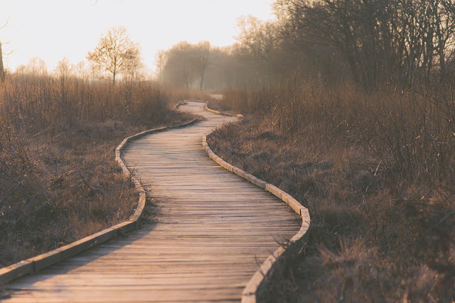 Path g6fb6d76c2 1920
