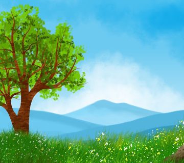 Meadow 6972665 1280 360x320