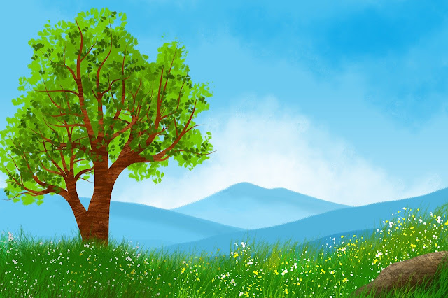 Meadow 6972665 1280