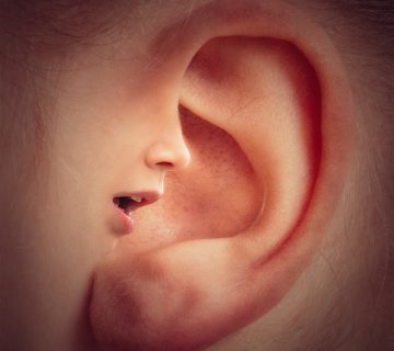 Ear 3971050 1280 360x320