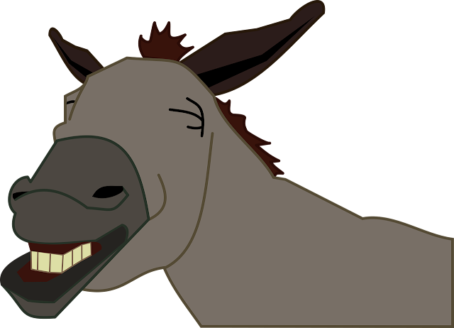 Burro 1295788 1280