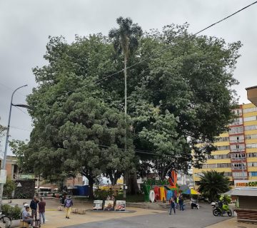 IMG 20241216 072431522 HDR 360x320